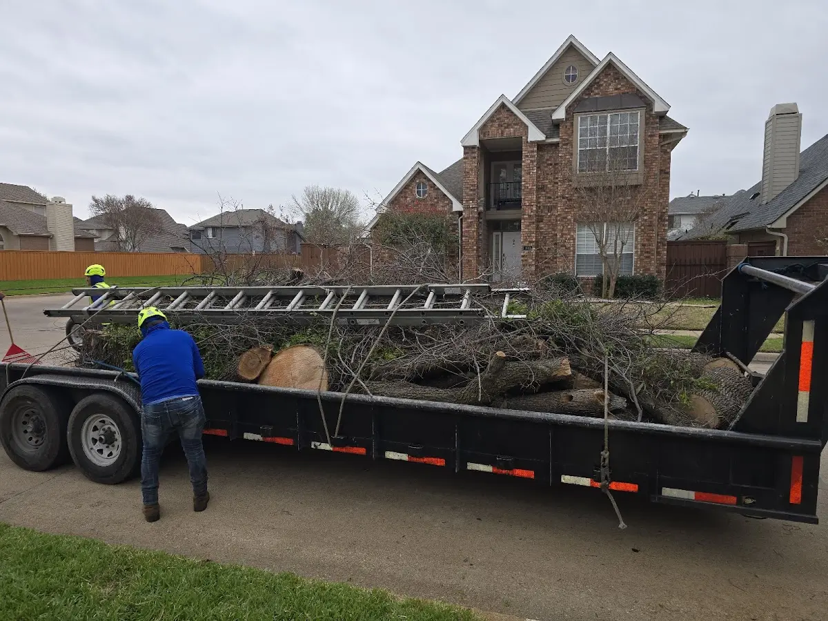 Expert Tree Fertilization with proper safety equipment in North Granby